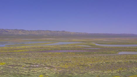 panorámica aérea a la izquierda de la llanura de carrizo en california durante la superflor silvestre