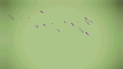 Animation-Violetter-Linien-Auf-Grünem-Hintergrund