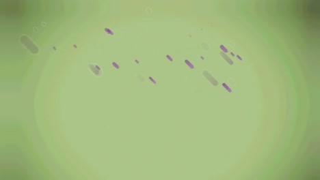 animation of purple lines over green background