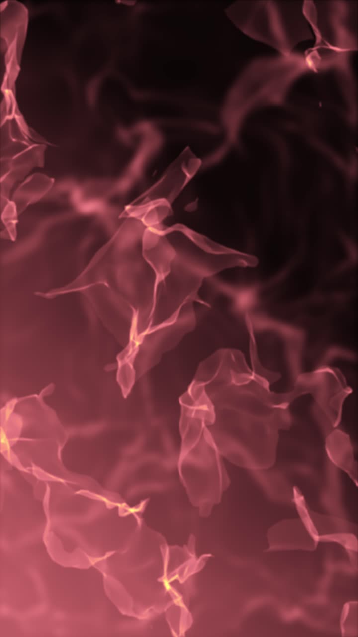 Abstract Red and Pink Fluid Design