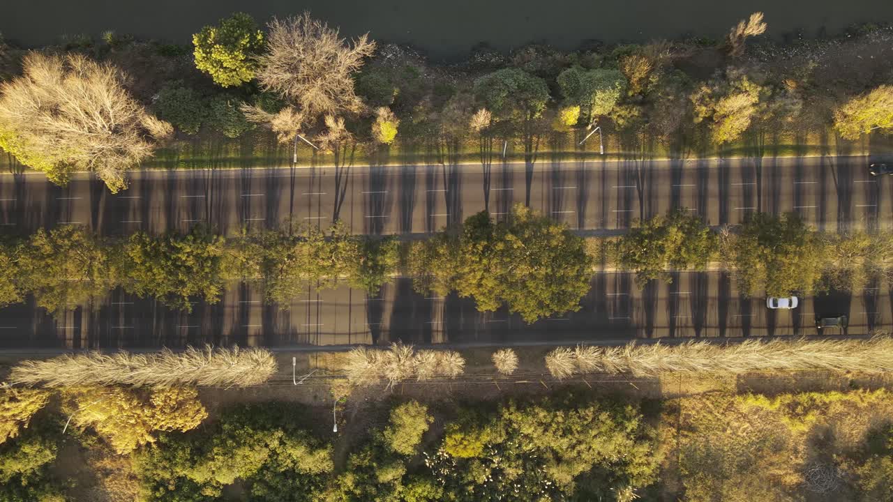 antena de arriba hacia abajo: coches circulando por una hermosa carretera asfaltada junto al río en buenos aires durante la puesta de sol - coloridos arbustos, plantas y árboles en la orilla
