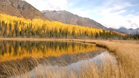 Increíble-Paisaje-De-Alaska,-Bosque-De-Cedro-Amarillo,-Estanque-Y-Pastizales-En-Un-Valle-Bajo-Las-Colinas-De-Las-Montañas