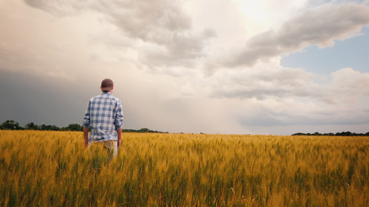 granjero admira un campo de trigo al atardecer 3