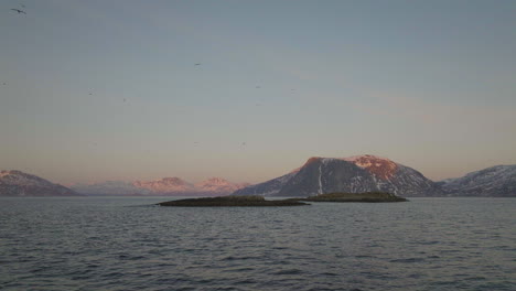 Las-Gaviotas-Sobrevuelan-Un-Islote