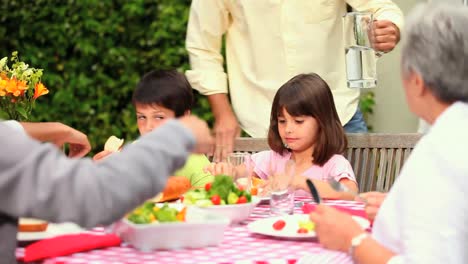 family lunch in the garden