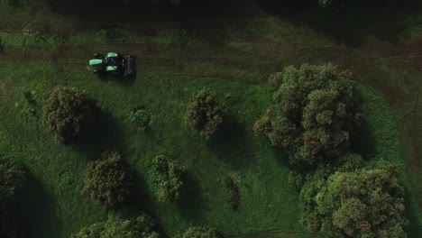 tractor bajando la colina pasando por árboles de aguacate en méxico