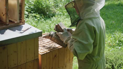 Bee-Keeper-Spraying-Smoke-on-Honey-Bees-on-Brood-Frame-at-Apiary