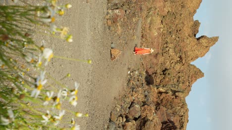 Mujer-Vestida-De-Naranja-Con-Sombrero-De-Playa-Corriendo-Por-Tierras-Desiertas-Hacia-La-Montaña-Rocosa-Con-Flores-De-Margarita-En-Primer-Plano,-Vertical-De-Mano