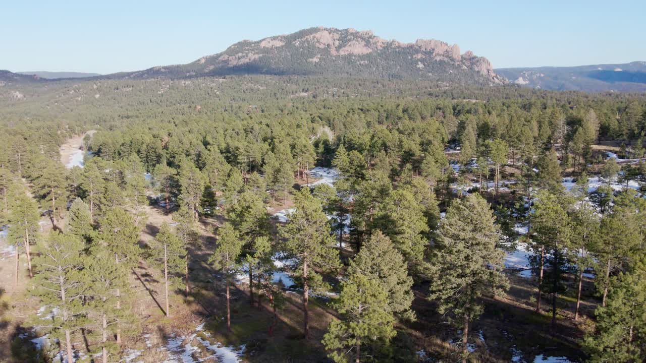 Aerial drone view of the Pike National Forest and Long Scraggy Mountain. Dolly movement to the rear. Filmed in the Rocky Mountains of Colorado.