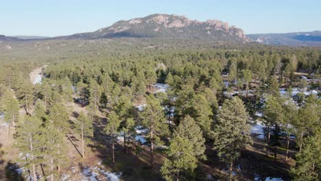aerial drone view of the pike national forest and long scraggy mountain. dolly movement to the rear. filmed in the rocky mountains of colorado.