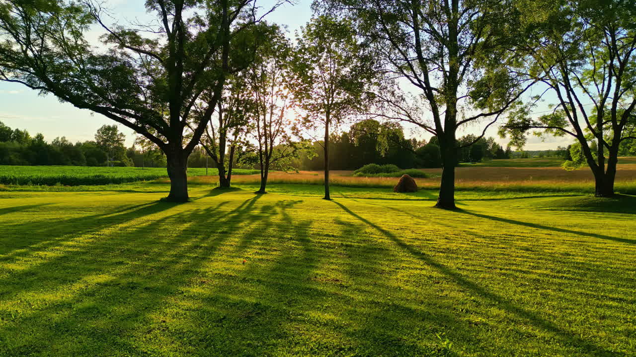 Low, sunset light casts long shadows from trees in the countryside