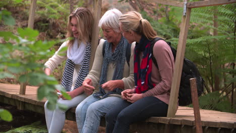 three generations of women sitting on a bridge in a forest