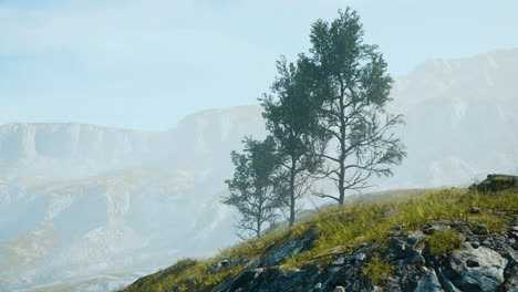 scenic landscape with steep cliffs and trees during a sunny day