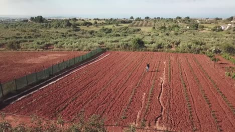 drone view of a farmer in a red soil field in sicily