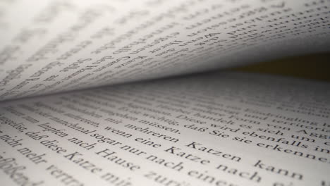 macro dolly disparó a través de páginas de libros alemanes antiguos iluminando con una linterna por la noche, aleje el zoom