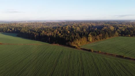 drone ascends over a farming field and reveals beautiful autumn forest in the distance