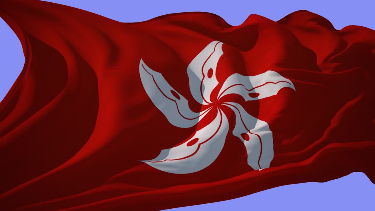 홍콩 플래그 알파 루프 4k