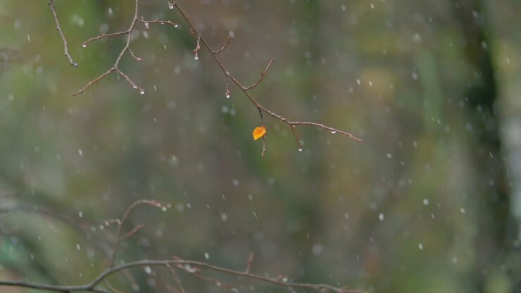 Herbsttag mit Schneefall