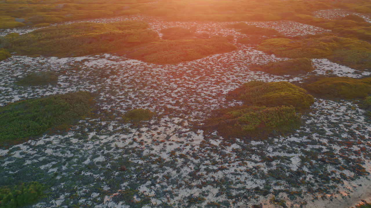 Drone golden sunrise light illuminate steppe ground with low greenery. Nature