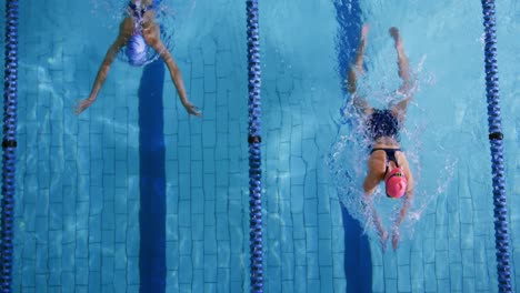 swimmers training in a swimming pool