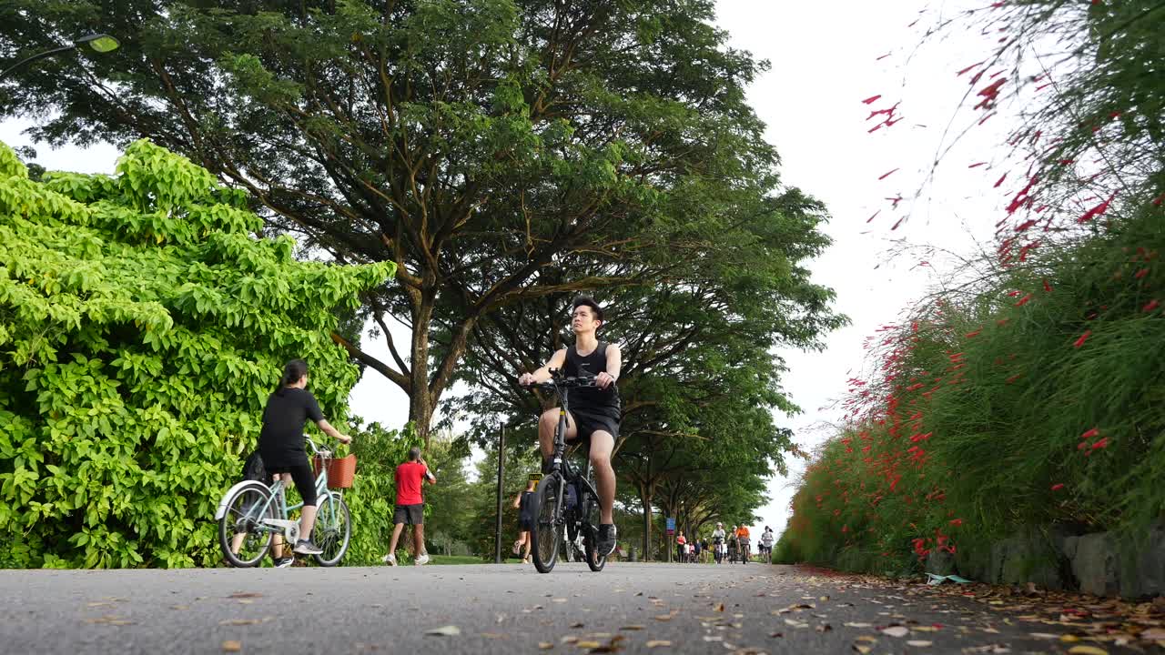 공원 을 가로지르는 길 에서 고 자전거 를 타는 사람 들