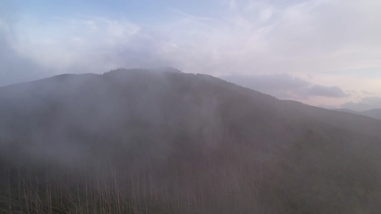 백그라운드에서 노스 캐롤라이나 산 mitchell nc와 함께 구름 속으로 상승