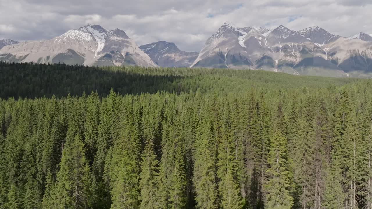 Drone con zoom che panoramica a sinistra rivelando alte montagne innevate e una vasta distesa di foresta di pini selvaggia vicino al Parco Nazionale di Banff e Yoho in Canada sotto un cielo parzialmente nuvoloso