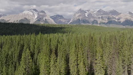 zoom-in drone panorámica a la izquierda revelando altas montañas nevadas y un vasto bosque de pinos desierto cerca de banff y yoho parque nacional en canadá bajo un cielo parcialmente nublado