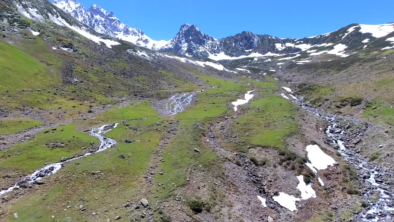 Vista aerea di un ruscello di montagna che scorre attraverso una verde valle alpina.