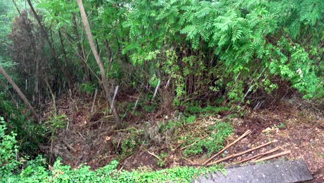 Steady-shot-of-a-wood-during-heavy-rain