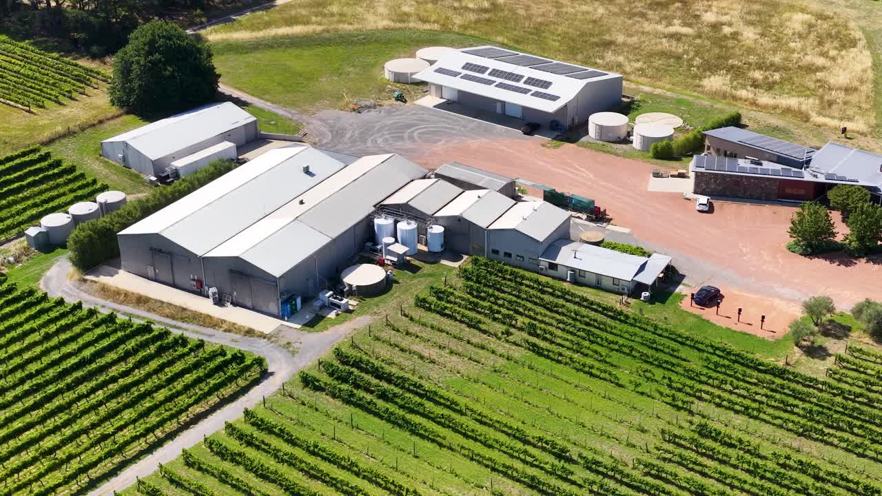 Dronefoto vanuit een hoge hoek onthult weelderige groene wijngaardrijen en landbouwloodsen onder helder zonlicht