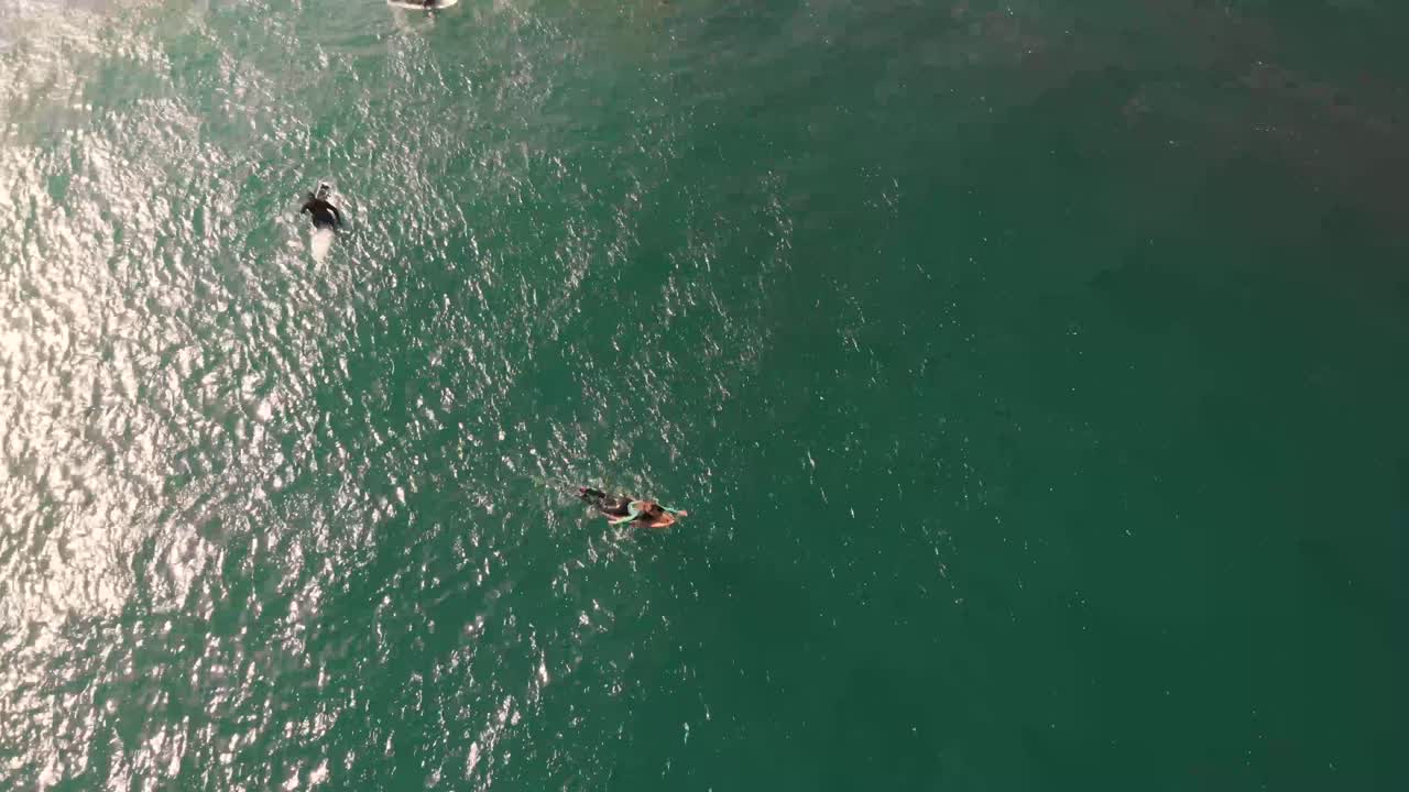 칠레 의 피치레무 에서  이 비는 날 에 색 물 에 서핑 보드 를 고 있는 서퍼 소녀