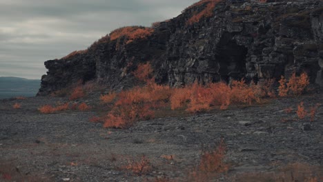 Desolado-Paisaje-Del-Norte