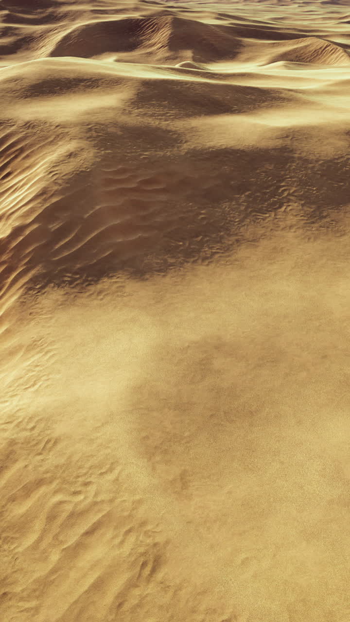 사막의 모래 언덕