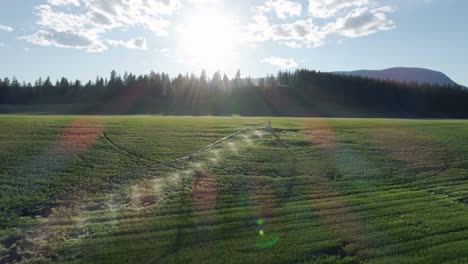 irrigation of green crops 4k