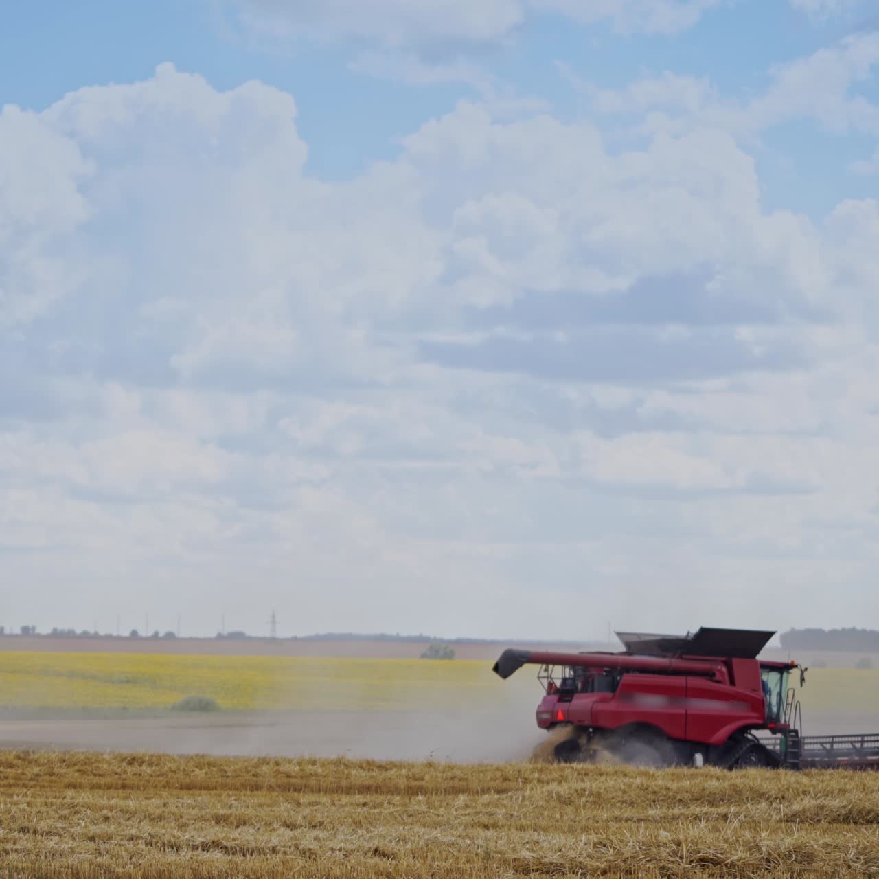 Agricultural machinery working on the yellow field. Two red combine harvester gathering ripe wheat under beautiful sky. Seasonal work.