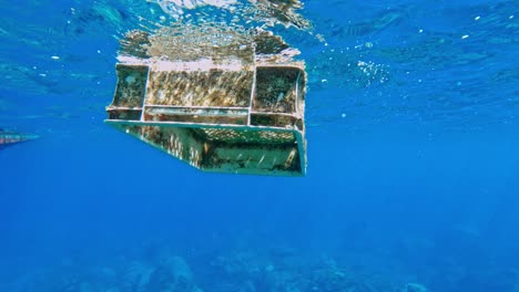 caja de plástico rectangular cubierta de musgo flotando en el mar azul profundo