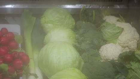 fresh vegetables display in a refrigerated case