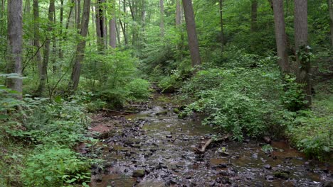 a small stream in the forested hills running over the rocks and around the boulders