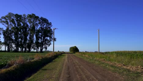 Un-Camino-De-Terracería-Recorre-Sembradíos,-Soya-A-La-Izquierda,-Maíz-A-La-Derecha