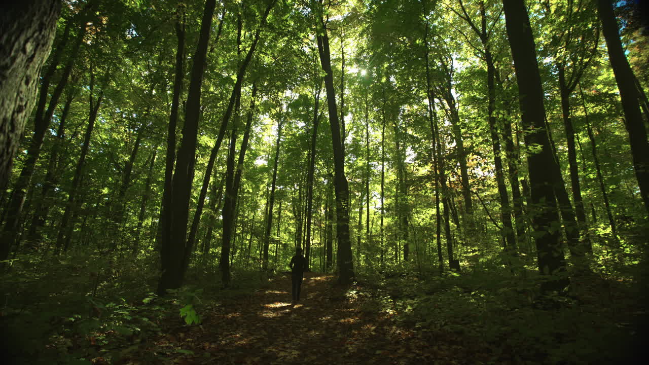 Woman casually strolls down a forest path during autumn