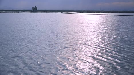 Schönes-Licht-Reflektiert-Von-Reisfeldern-Und-Reisfeldern-In-Der-Nähe-Von-Albufera-Spanien-2