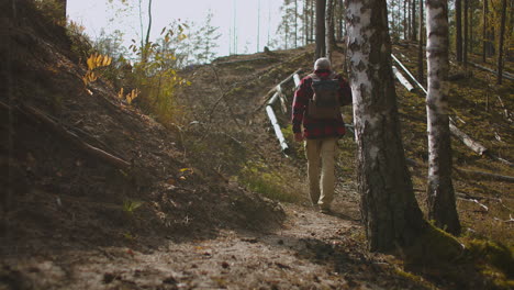 Un-Hombre-Solitario-De-Mediana-Edad-Está-Caminando-En-El-Bosque-Llevando-Una-Mochila-Humana-Y-Natural-El-Día-De-Otoño-En-El-Bosque