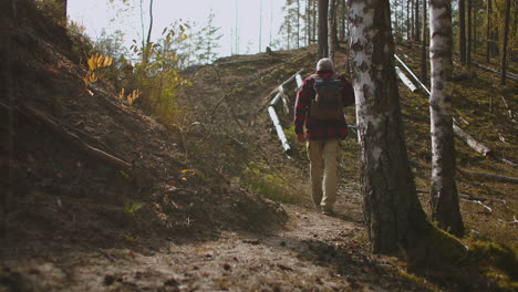 Einsamer-Mann-Mittleren-Alters-Wandert-Im-Wald-Und-Trägt-Einen-Rucksack.-Mensch-Und-Natur,-Herbsttag-Im-Wald