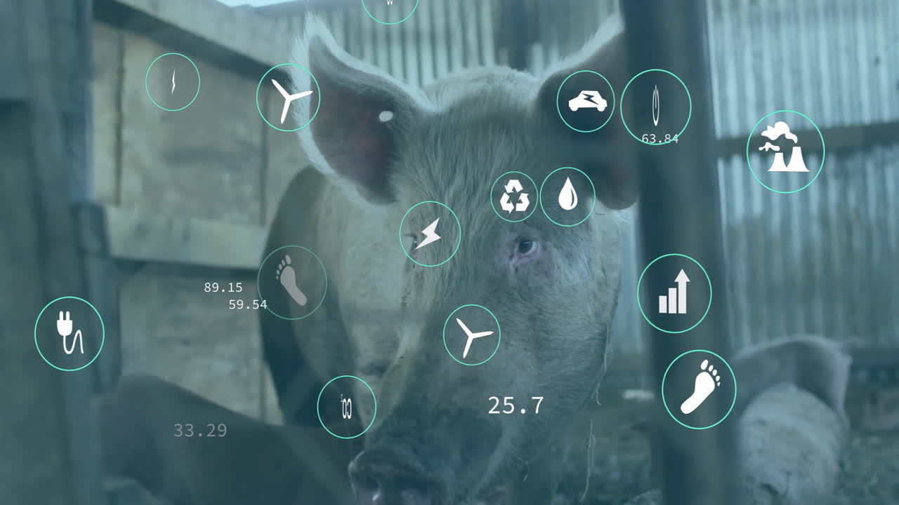 Farm pig being visualized inside barn, standing behind feeding trough with energy metrics icons