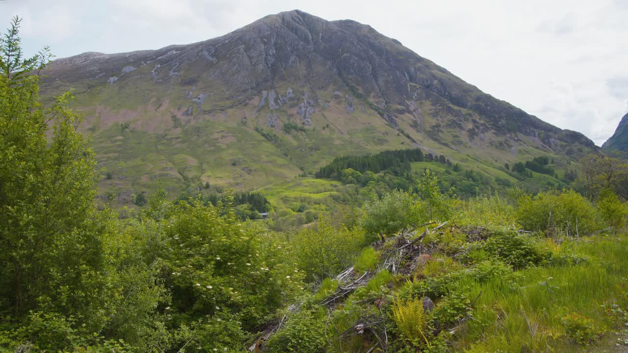 exuberante vegetación y montaña en el valle de glencoe en escocia