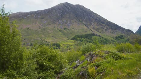 vegetação exuberante e montanha no vale de glencoe, na escócia