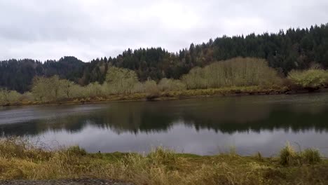 Driving-next-to-a-river-in-Oregon-with-a-background-field-of-beautiful,-unique,-looking-moss-covered-tree's-with-mountains-in-the-distance-reflecting-in-the-water