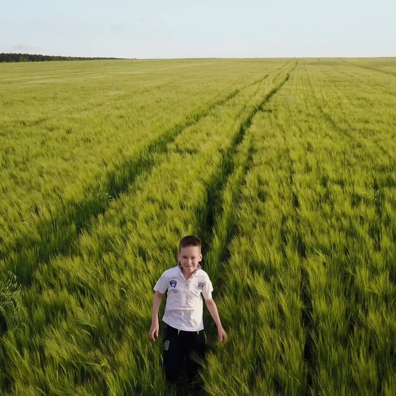 дети бегают по полю