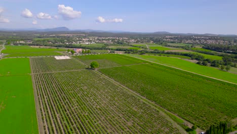 Aerial-view-of-vineyard-patchwork-near-Lecrès,-France